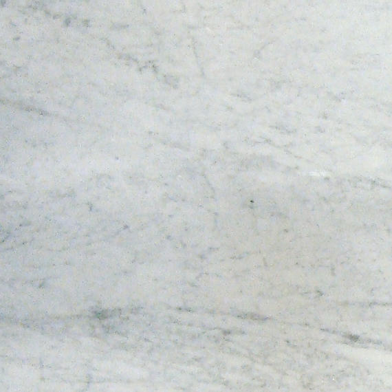 Ahnzu Coral Gables - Carrara White POLISHED 12 x 12 (Full Pallet)