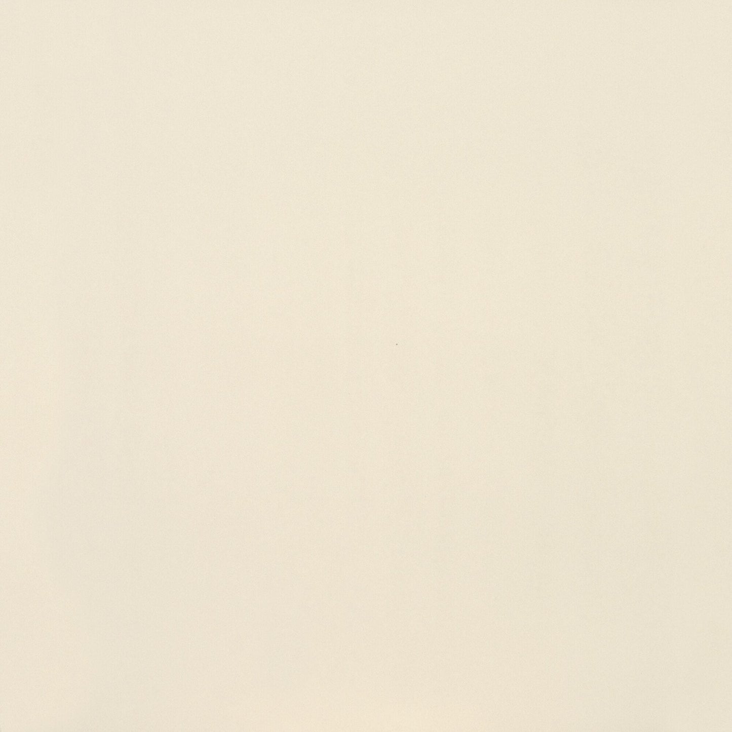 American Olean Clay Canvas Polished - Paint POLISHED 24 x 24 (Full Pallet)