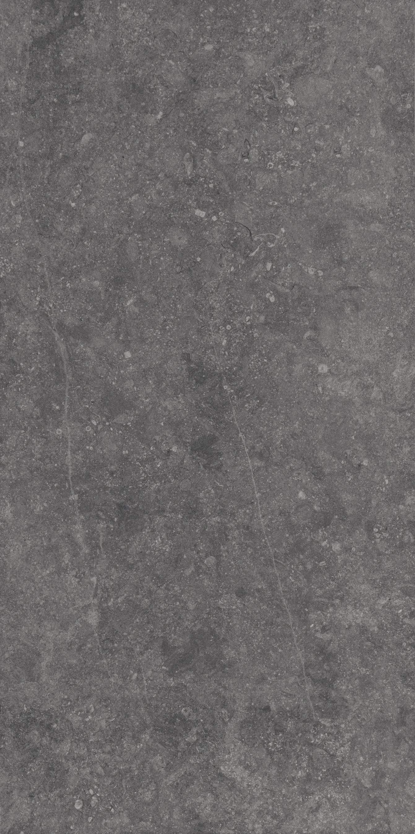 Daltile Diplomacy - Medium Grey 24 x 48 (Full Pallet)