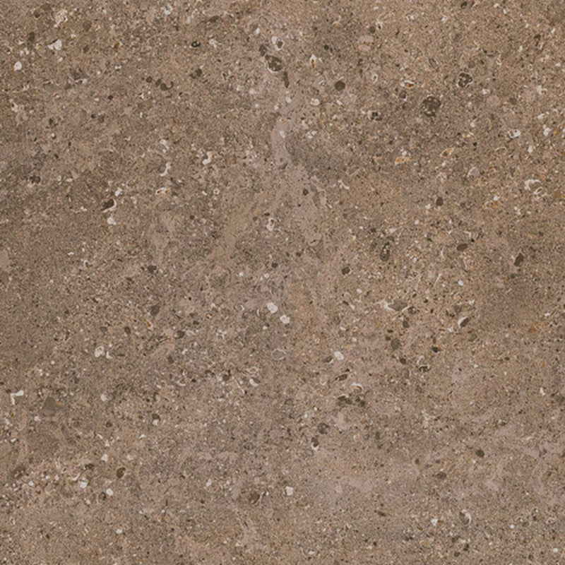 DALTILE - DIGNITARY - Herald Brown - 91911