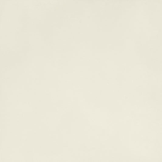 DALTILE - UNIFORM CONCRETE - White - 93771