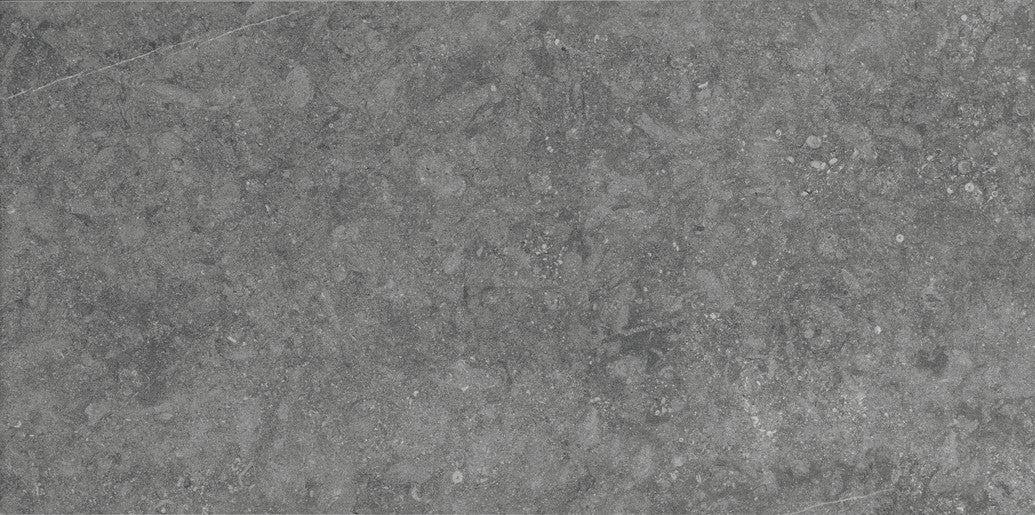 Daltile Diplomacy - Light Grey 20 x 40 (Full Pallet)