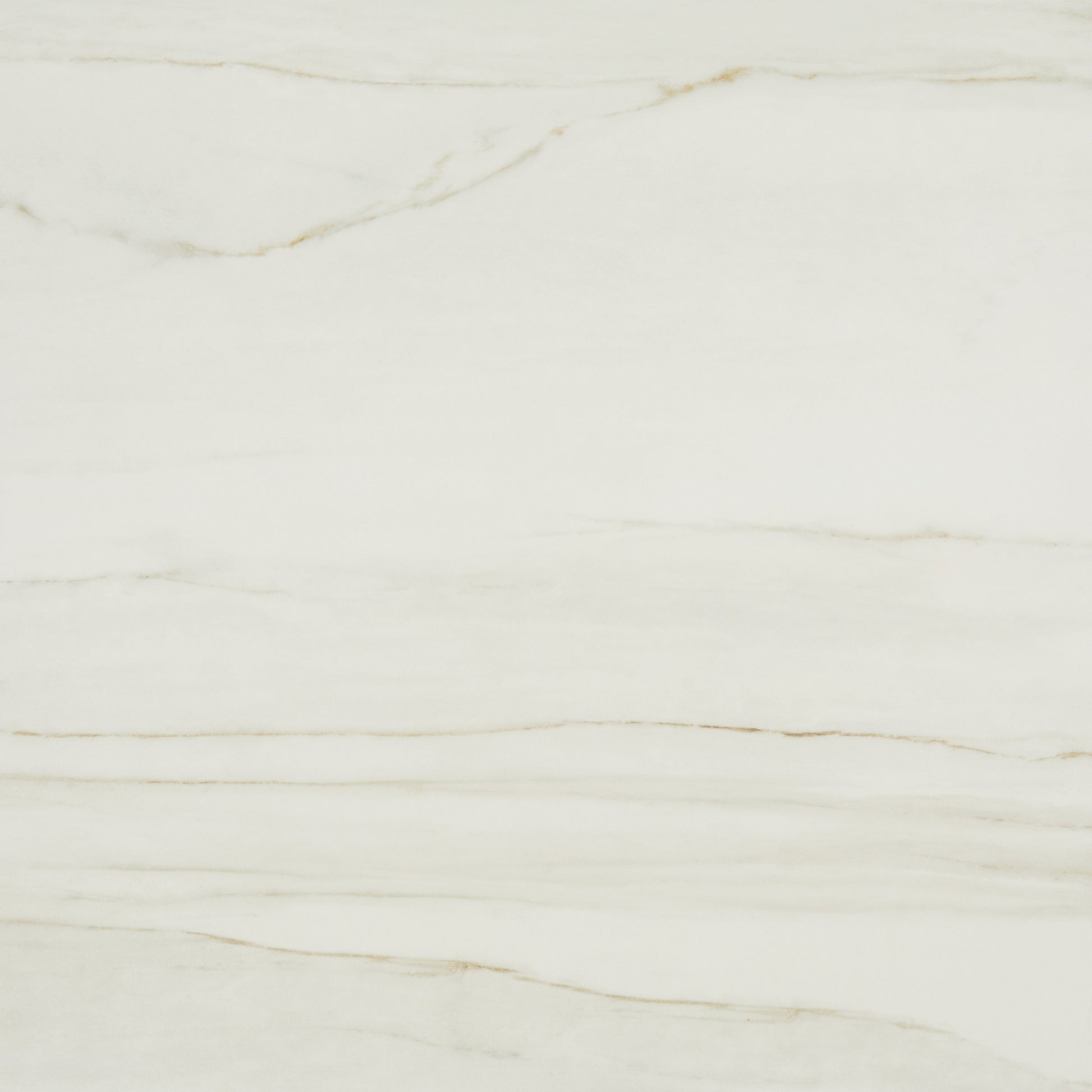 Daltile Fossile Textured - FS20 24 x 24 (Full Pallet)