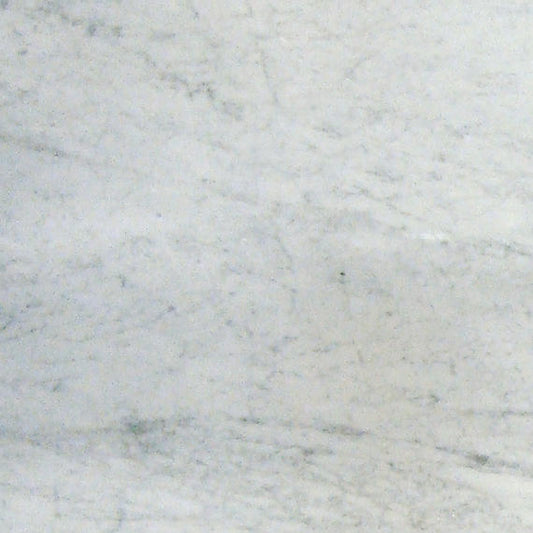 Ahnzu Coral Gables - Carrara White POLISHED 12 x 12 (Full Pallet)