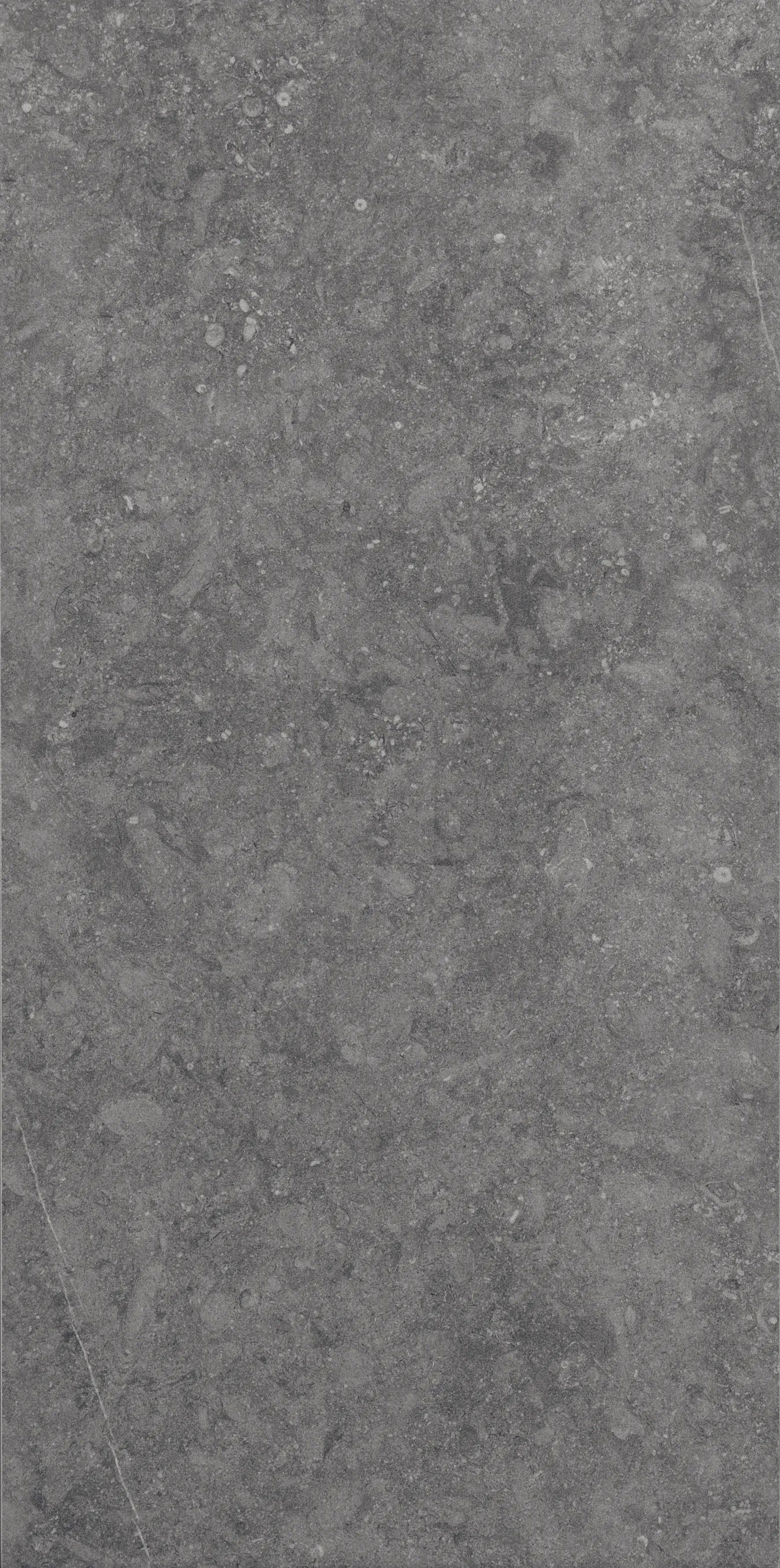 Daltile Diplomacy - Light Grey 24 x 48 (Full Pallet)