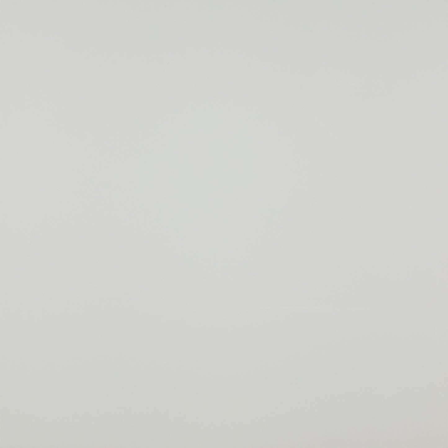 Daltile Perigee Polished - White POLISHED 12 x 24 (Full Pallet)