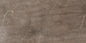 DALTILE - IMAGICA - Cosmo - 95395