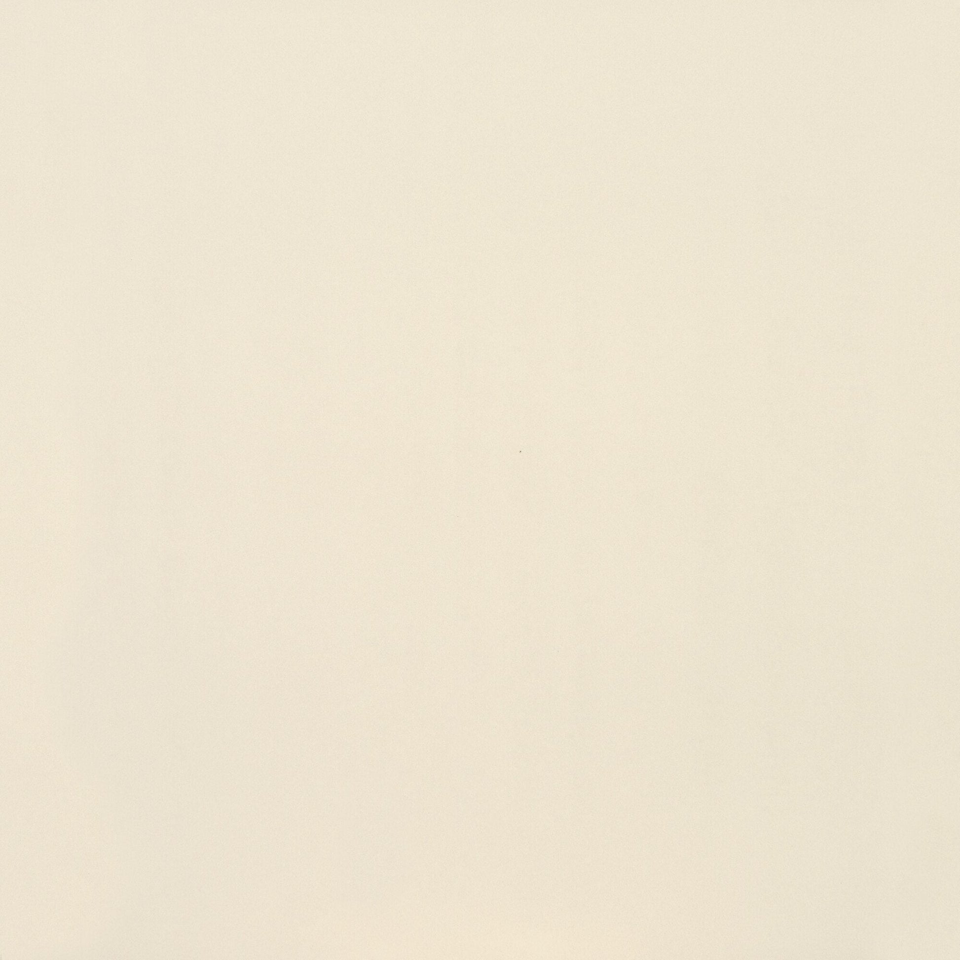 American Olean Clay Canvas - Paint 24 x 24 (Full Pallet)