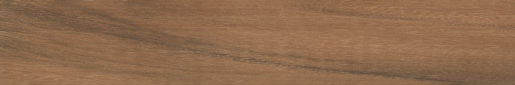 Ragno Mt Royale - Gunstock 6 x 36 (Full Pallet)